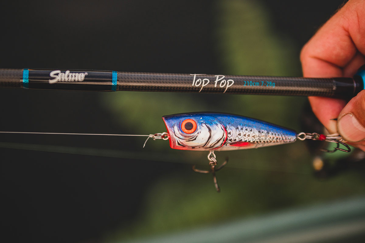 Salmo Top Pop Spinning Rod 7-28g